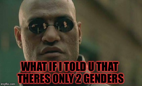 Matrix Morpheus Meme | WHAT IF I TOLD U THAT THERES ONLY 2 GENDERS | image tagged in memes,matrix morpheus | made w/ Imgflip meme maker