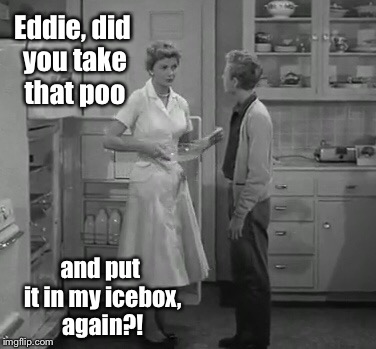 Eddie, did you take that poo and put it in my icebox, again?! | made w/ Imgflip meme maker