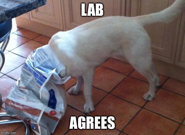 LAB AGREES | made w/ Imgflip meme maker