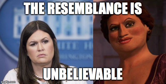 They share the same eyebrow. | THE RESEMBLANCE IS; UNBELIEVABLE | image tagged in memes,funny memes | made w/ Imgflip meme maker