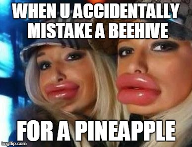 Duck Face Chicks | WHEN U ACCIDENTALLY MISTAKE A BEEHIVE; FOR A PINEAPPLE | image tagged in memes,duck face chicks | made w/ Imgflip meme maker