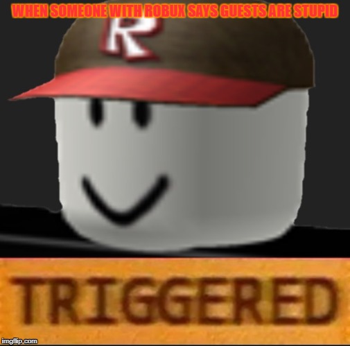 Roblox Triggered | WHEN SOMEONE WITH ROBUX
SAYS GUESTS ARE STUPID | image tagged in roblox triggered | made w/ Imgflip meme maker