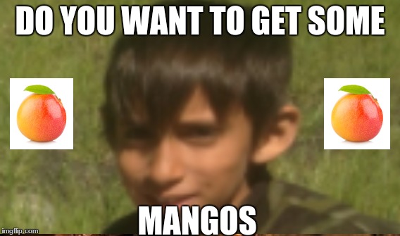 mangos | DO YOU WANT TO GET SOME; MANGOS | image tagged in mango | made w/ Imgflip meme maker
