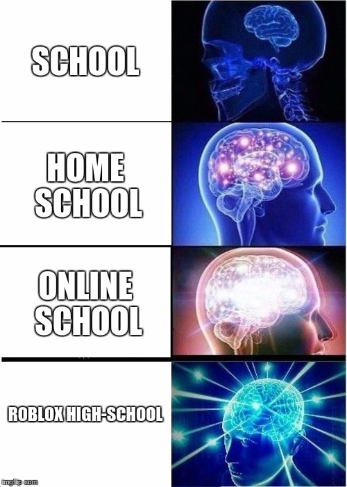 Expanding Brain Meme | SCHOOL; HOME SCHOOL; ONLINE SCHOOL; ROBLOX HIGH-SCHOOL | image tagged in memes,expanding brain | made w/ Imgflip meme maker