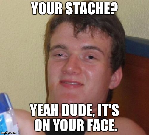 Hey 10 guy, have you seen my STASH???? | YOUR STACHE? YEAH DUDE, IT'S ON YOUR FACE. | image tagged in memes,10 guy | made w/ Imgflip meme maker