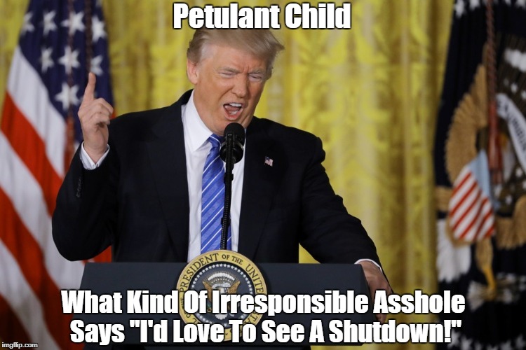 Petulant Child What Kind Of Irresponsible Asshole Says "I'd Love To See A Shutdown!" | made w/ Imgflip meme maker