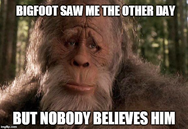 Guess it goes both ways... | BIGFOOT SAW ME THE OTHER DAY; BUT NOBODY BELIEVES HIM | image tagged in bigfoot,the truth is out there,life in the jungle,sasquatch | made w/ Imgflip meme maker