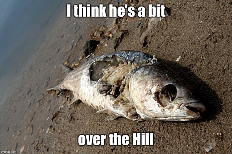 I think he’s a bit over the Hill | made w/ Imgflip meme maker
