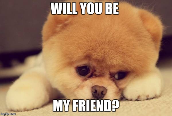 WILL YOU BE; MY FRIEND? | image tagged in cute dog,sad puppy,cute animals,chicken nuggets | made w/ Imgflip meme maker