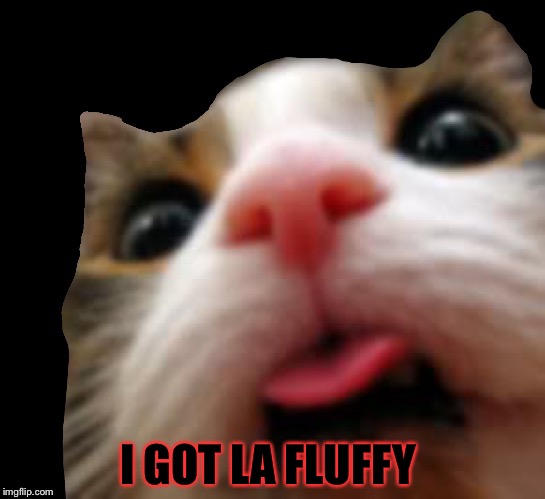 I GOT LA FLUFFY | made w/ Imgflip meme maker