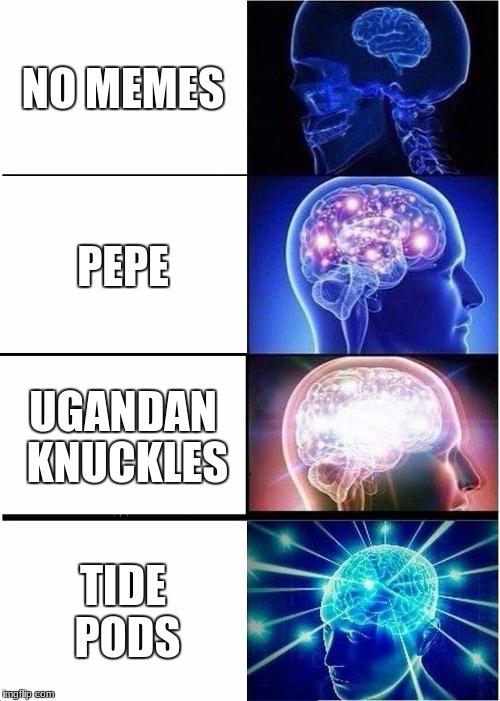 Expanding Brain | NO MEMES; PEPE; UGANDAN KNUCKLES; TIDE PODS | image tagged in memes,expanding brain | made w/ Imgflip meme maker