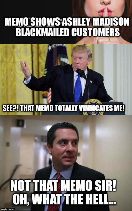 Trump is definitely innocent of something! | MEMO SHOWS ASHLEY MADISON BLACKMAILED CUSTOMERS; SEE?! THAT MEMO TOTALLY VINDICATES ME! NOT THAT MEMO SIR! OH, WHAT THE HELL... | image tagged in trump,humor,nunes,ashley madison,memo | made w/ Imgflip meme maker
