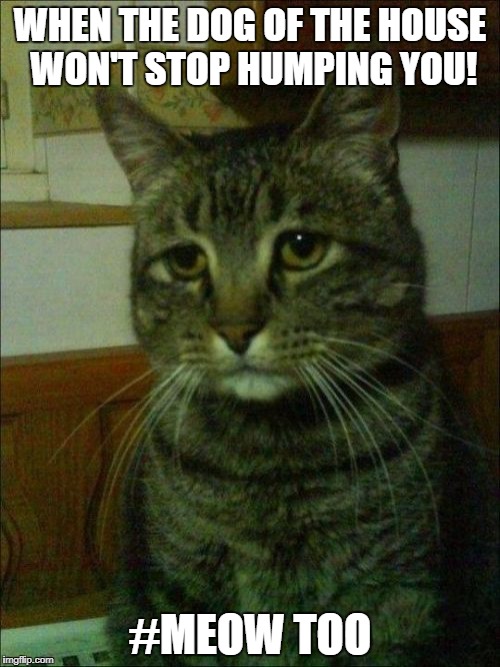 Depressed Cat | WHEN THE DOG OF THE HOUSE WON'T STOP HUMPING YOU! #MEOW TOO | image tagged in memes,depressed cat | made w/ Imgflip meme maker