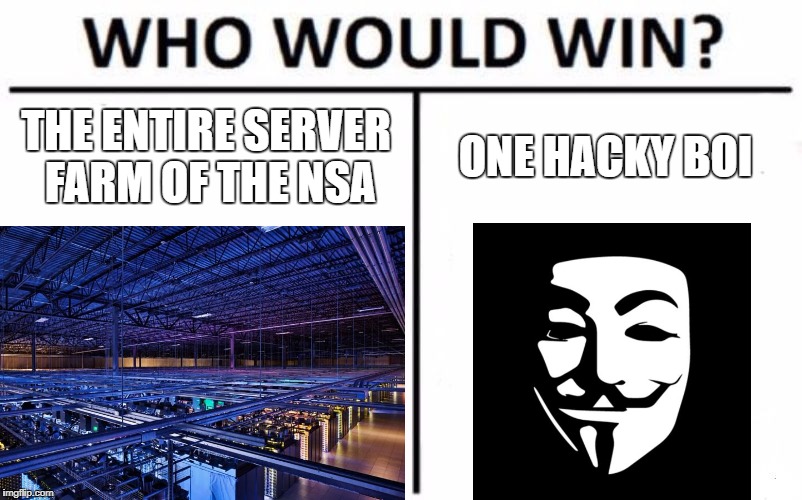 THE ENTIRE SERVER FARM OF THE NSA; ONE HACKY BOI | image tagged in memes | made w/ Imgflip meme maker