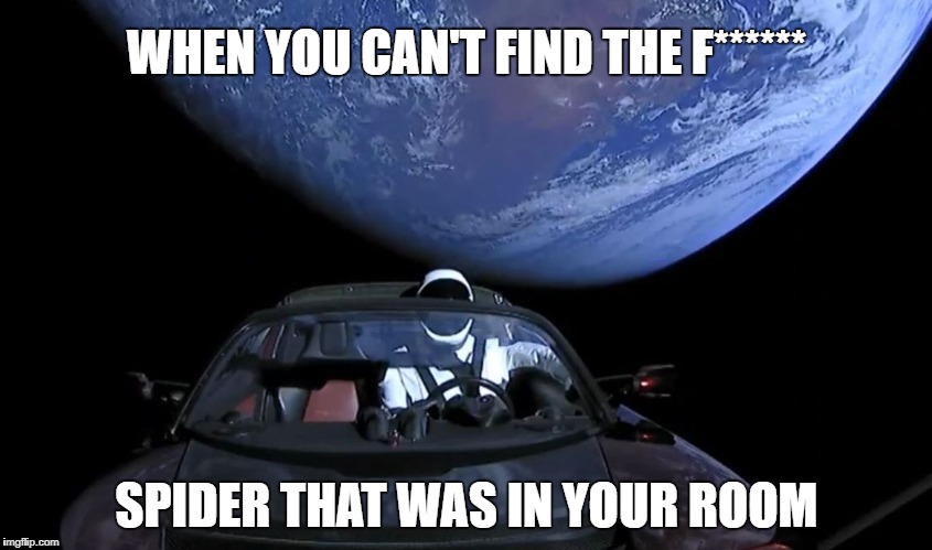 Falcon Heavy found the ultimate solution | WHEN YOU CAN'T FIND THE F******; SPIDER THAT WAS IN YOUR ROOM | image tagged in starman,spacex,tesla,spider,falconheavy,space | made w/ Imgflip meme maker