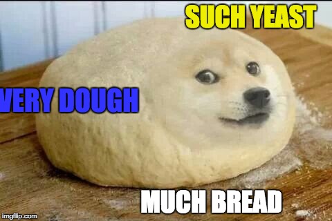  SUCH YEAST; VERY DOUGH; MUCH BREAD | image tagged in memes | made w/ Imgflip meme maker