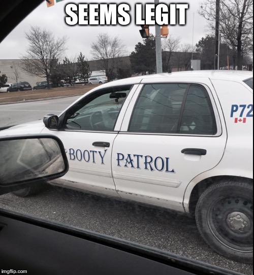 Legit cop | SEEMS LEGIT | image tagged in booty,police | made w/ Imgflip meme maker