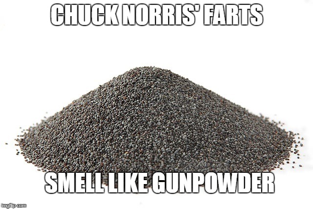 Chuck Norris farts | CHUCK NORRIS' FARTS; SMELL LIKE GUNPOWDER | image tagged in chuck norris,memes,farts,gunpowder | made w/ Imgflip meme maker