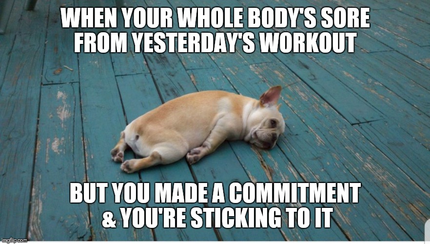 Tired workout puppy  | WHEN YOUR WHOLE BODY'S SORE FROM YESTERDAY'S WORKOUT; BUT YOU MADE A COMMITMENT & YOU'RE STICKING TO IT | image tagged in workout,gym,fitness,exercise,motivation,tired puppy | made w/ Imgflip meme maker