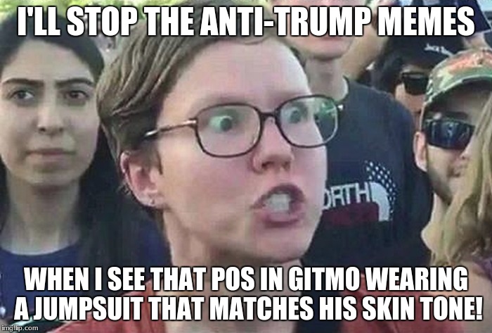 Ya damn right I'm triggered! | I'LL STOP THE ANTI-TRUMP MEMES; WHEN I SEE THAT POS IN GITMO WEARING A JUMPSUIT THAT MATCHES HIS SKIN TONE! | image tagged in triggered liberal,trump,meme | made w/ Imgflip meme maker
