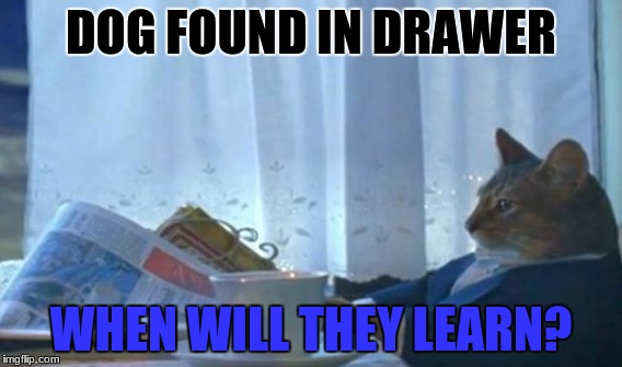 DOG FOUND IN DRAWER WHEN WILL THEY LEARN? | made w/ Imgflip meme maker