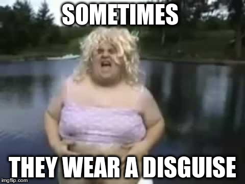 Fat Man in a Wig | SOMETIMES THEY WEAR A DISGUISE | image tagged in fat man in a wig | made w/ Imgflip meme maker