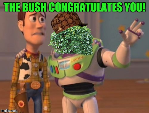 X, X Everywhere Meme | THE BUSH CONGRATULATES YOU! | image tagged in memes,x x everywhere,scumbag | made w/ Imgflip meme maker