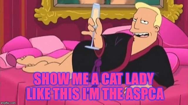 SHOW ME A CAT LADY LIKE THIS I’M THE ASPCA | made w/ Imgflip meme maker