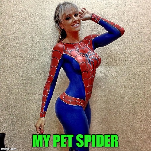 MY PET SPIDER | made w/ Imgflip meme maker