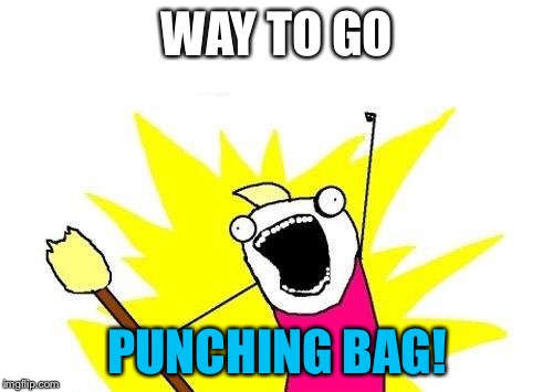 X All The Y Meme | WAY TO GO PUNCHING BAG! | image tagged in memes,x all the y | made w/ Imgflip meme maker