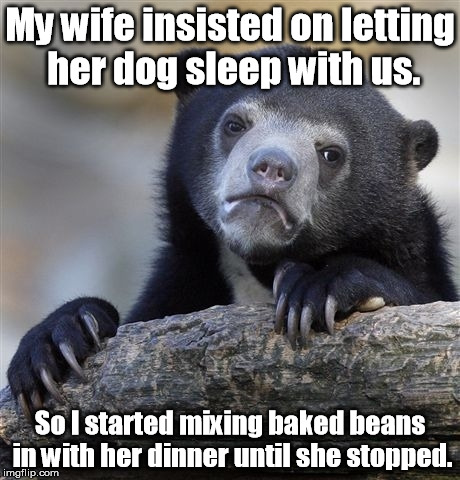 Confession Bear cracks one off. | My wife insisted on letting her dog sleep with us. So I started mixing baked beans in with her dinner until she stopped. | image tagged in memes,confession bear | made w/ Imgflip meme maker
