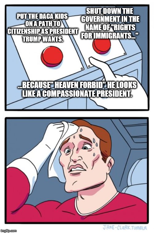 Another government shut down looming. | SHUT DOWN THE GOVERNMENT IN THE NAME OF "RIGHTS FOR IMMIGRANTS..."; PUT THE DACA KIDS ON A PATH TO CITIZENSHIP AS PRESIDENT TRUMP WANTS. ...BECAUSE" HEAVEN FORBID" HE LOOKS LIKE A COMPASSIONATE PRESIDENT. | image tagged in memes,two buttons | made w/ Imgflip meme maker