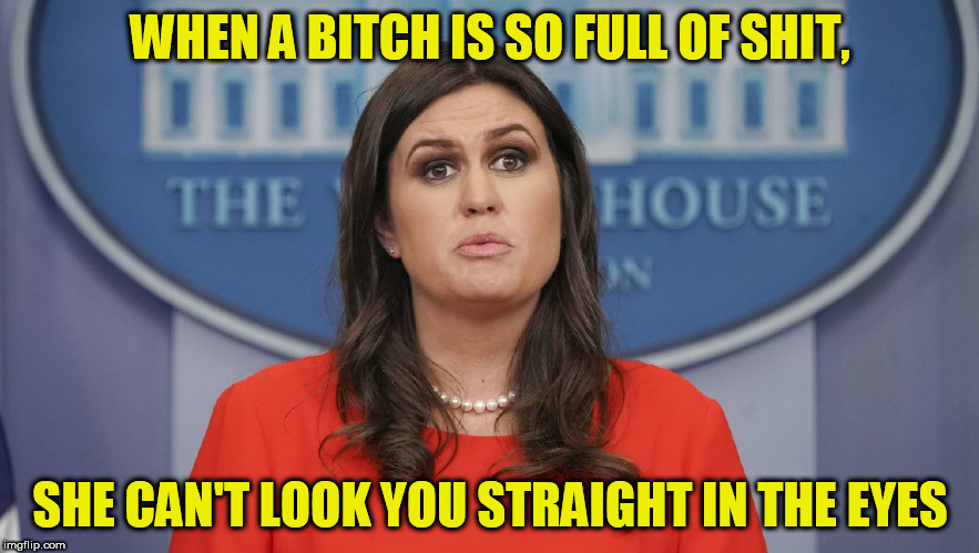 Sarah Sanders lost | WHEN A BITCH IS SO FULL OF SHIT, SHE CAN'T LOOK YOU STRAIGHT IN THE EYES | image tagged in sarah sanders lost,crosseyed,liar,shithole,bitch,crazy eyes | made w/ Imgflip meme maker