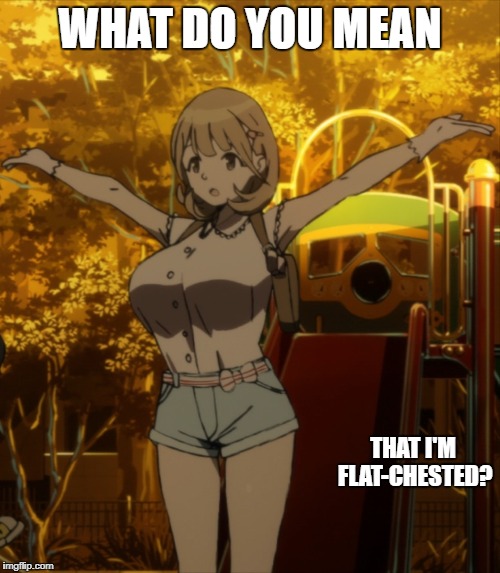 WHAT DO YOU MEAN; THAT I'M FLAT-CHESTED? | image tagged in ryoka narusawa occultic nine | made w/ Imgflip meme maker