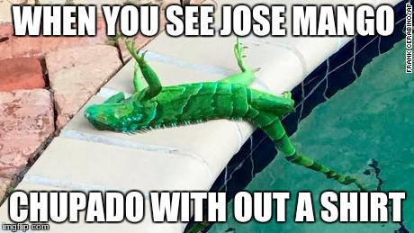 Frozen Iguana | WHEN YOU SEE JOSE MANGO; CHUPADO WITH OUT A SHIRT | image tagged in frozen iguana | made w/ Imgflip meme maker