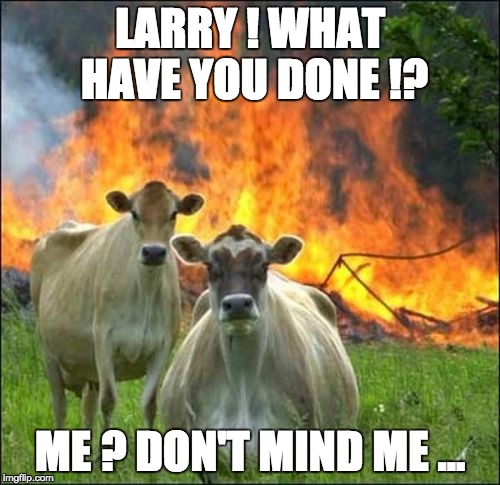 Evil Cows Meme | LARRY ! WHAT HAVE YOU DONE !? ME ? DON'T MIND ME ... | image tagged in memes,evil cows | made w/ Imgflip meme maker