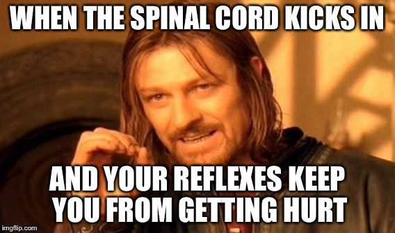 One Does Not Simply Meme | WHEN THE SPINAL CORD KICKS IN; AND YOUR REFLEXES KEEP YOU FROM GETTING HURT | image tagged in memes,one does not simply | made w/ Imgflip meme maker