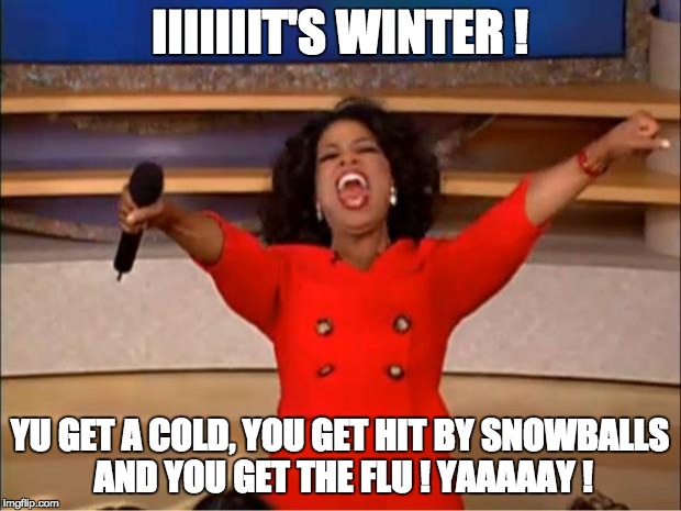 Oprah You Get A | IIIIIIIT'S WINTER ! YU GET A COLD, YOU GET HIT BY SNOWBALLS AND YOU GET THE FLU ! YAAAAAY ! | image tagged in memes,oprah you get a | made w/ Imgflip meme maker