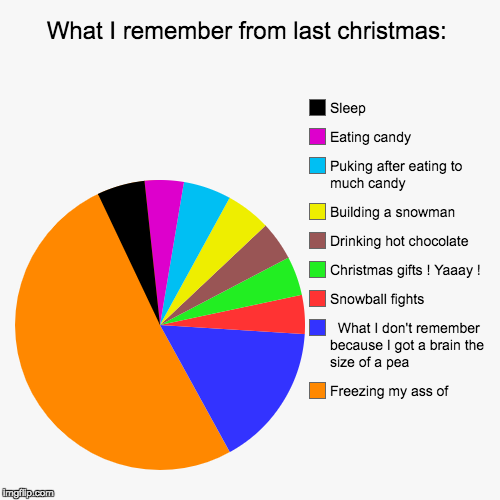 What I remember from last christmas: | Freezing my ass of,   What I don't remember because I got a brain the size of a pea, Snowball fights, | image tagged in funny,pie charts | made w/ Imgflip chart maker