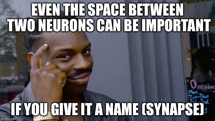 Roll Safe Think About It Meme | EVEN THE SPACE BETWEEN TWO NEURONS CAN BE IMPORTANT; IF YOU GIVE IT A NAME (SYNAPSE) | image tagged in memes,roll safe think about it | made w/ Imgflip meme maker
