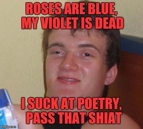 10 Guy | ROSES ARE BLUE, MY VIOLET IS DEAD; I SUCK AT POETRY,  PASS THAT SHIAT | image tagged in memes,10 guy | made w/ Imgflip meme maker
