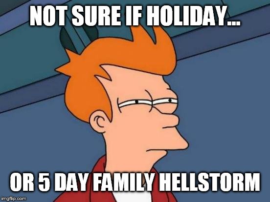 Family holiday meme | NOT SURE IF HOLIDAY... OR 5 DAY FAMILY HELLSTORM | image tagged in memes,futurama fry,family holiday,life,hellstorm | made w/ Imgflip meme maker