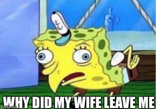 Mocking Spongebob | WHY DID MY WIFE LEAVE ME | image tagged in memes,mocking spongebob | made w/ Imgflip meme maker