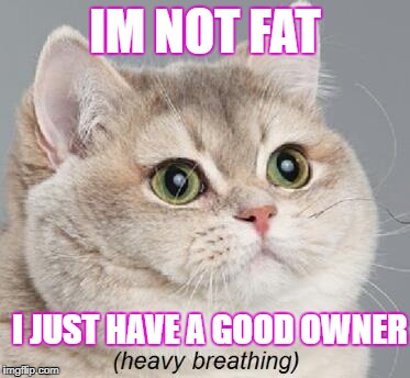 Heavy Breathing Cat | IM NOT FAT; I JUST HAVE A GOOD OWNER | image tagged in memes,heavy breathing cat | made w/ Imgflip meme maker