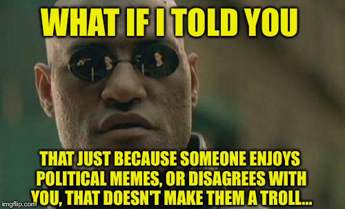 Pathetic how little respect we show people with different views and opinions. | WHAT IF I TOLD YOU; THAT JUST BECAUSE SOMEONE ENJOYS POLITICAL MEMES, OR DISAGREES WITH YOU, THAT DOESN'T MAKE THEM A TROLL... | image tagged in memes,matrix morpheus,troll,imgflip trolls,political meme,politics | made w/ Imgflip meme maker