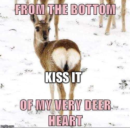 KISS IT | image tagged in dearest deer | made w/ Imgflip meme maker