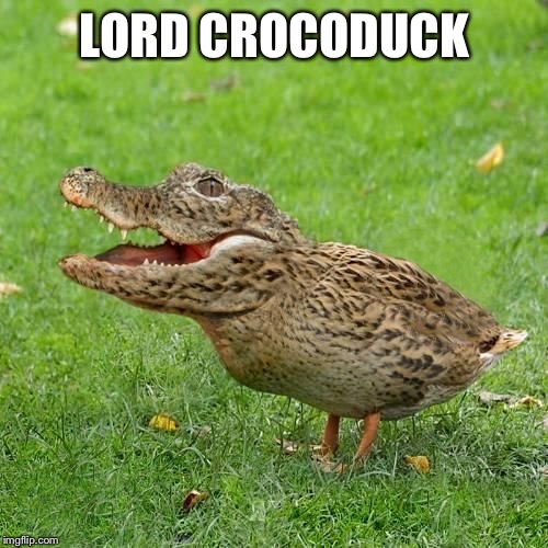 Crocoduck | LORD CROCODUCK | image tagged in crocoduck | made w/ Imgflip meme maker
