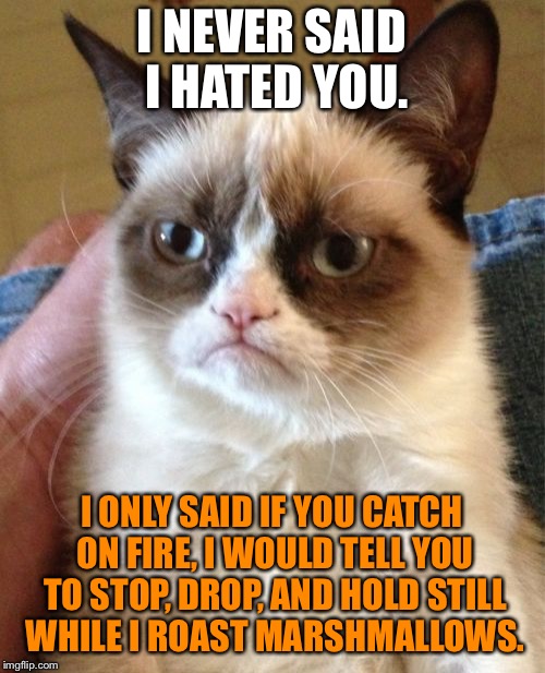 Human marshmallow roaster | I NEVER SAID I HATED YOU. I ONLY SAID IF YOU CATCH ON FIRE, I WOULD TELL YOU TO STOP, DROP, AND HOLD STILL WHILE I ROAST MARSHMALLOWS. | image tagged in memes,grumpy cat,marshmallow,fire,drop,still | made w/ Imgflip meme maker