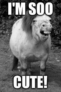 ugly horse | I'M SOO; CUTE! | image tagged in ugly horse | made w/ Imgflip meme maker
