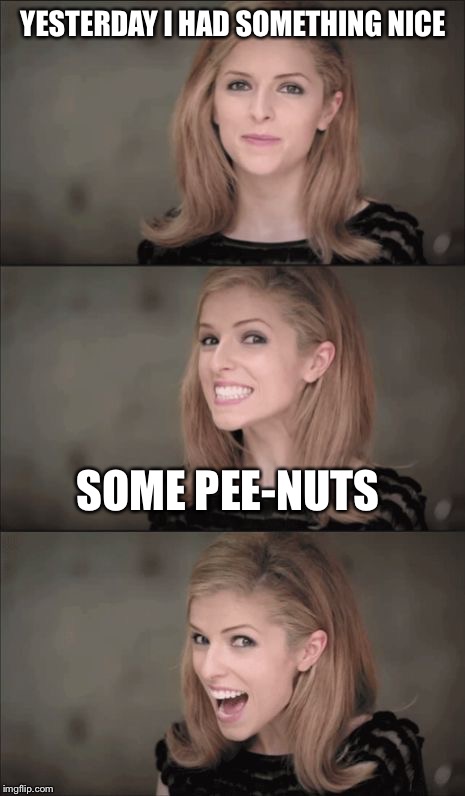 Bad Pun Anna Kendrick Meme | YESTERDAY I HAD SOMETHING NICE; SOME PEE-NUTS | image tagged in memes,bad pun anna kendrick | made w/ Imgflip meme maker